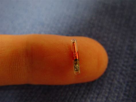 inserting rfid chip diy|rfid implant for hand.